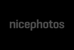 Logo Nicephotos