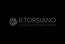 Logo Escritório Richard Torsiano